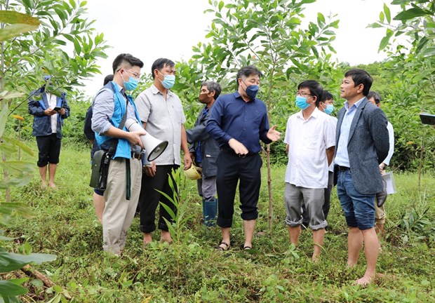 Promouvoir la plantation d’arbres en 2022
